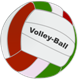 Volleyball